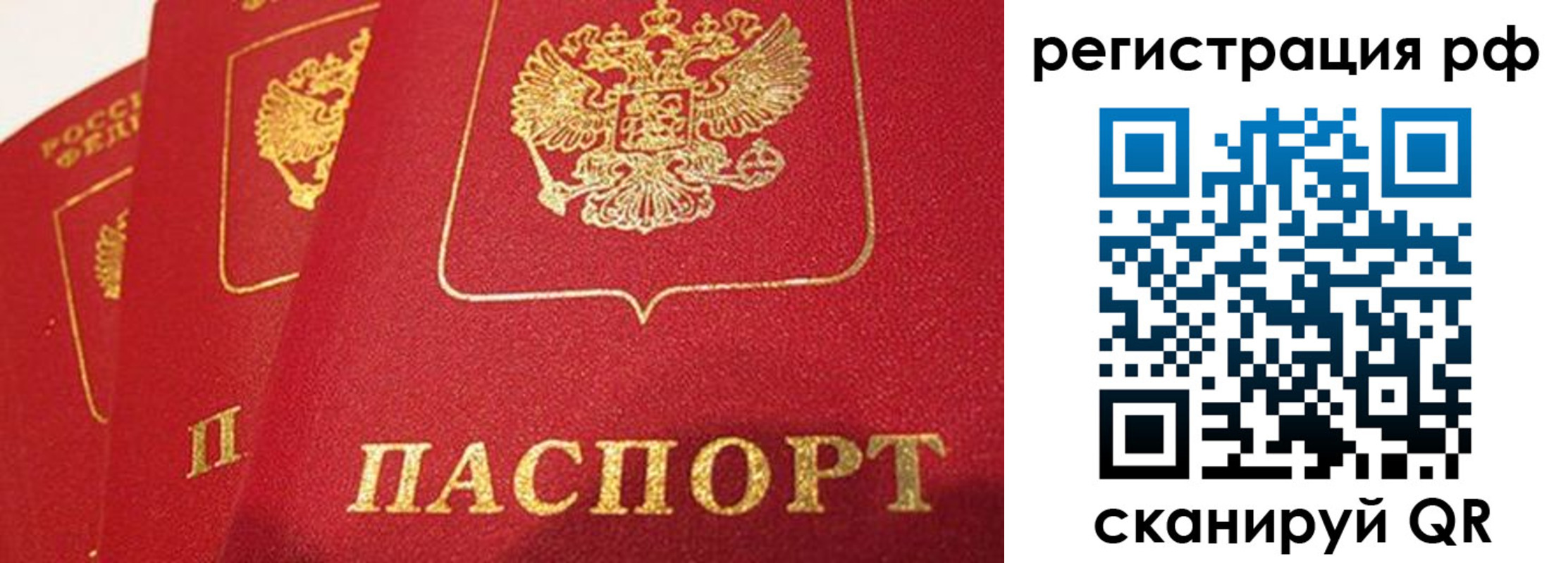 прописка поиск в Касли